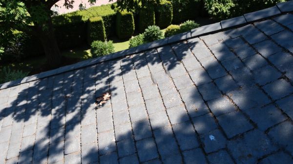 10 astuces pour garantir la longévité de votre toiture