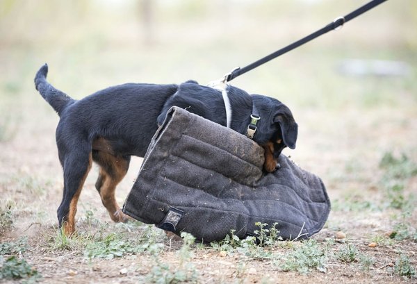 Les Changements Récents dans les Normes de Sécurité Web